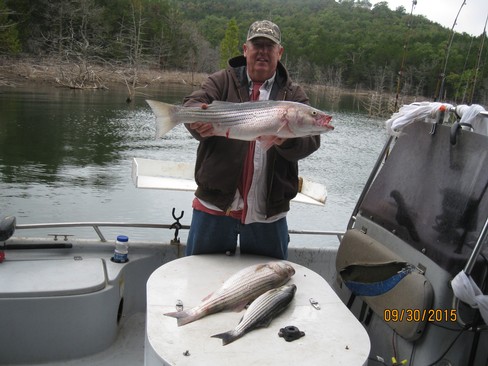 Nice Striped Bass